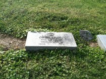 119441474_138299525844