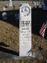 53011961_128950678328