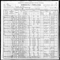1900 Census