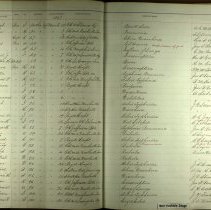 Us Death Of Volunteers