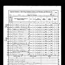 1890 Veteran Schedule