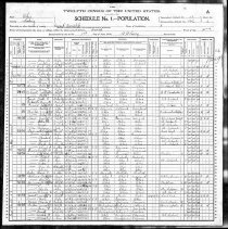1900 Census