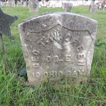 65420926_3e9b3d90-b002-43c8-a707-1e592a98f5be