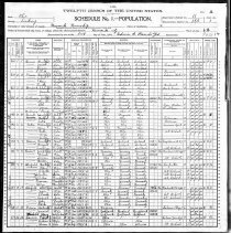 1900 Census