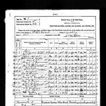 1890 Census
