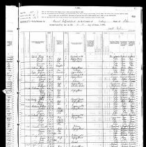 1880 Census