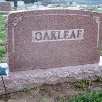 40866655_136045246408