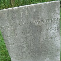 Screenshot 2025-11-12 090747