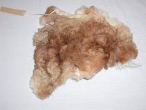 C2000.001.036 P. Smith Pelt