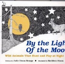 By the light of the moon