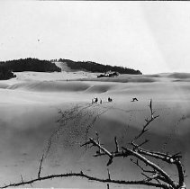 Jewett family and Gardiner, OR