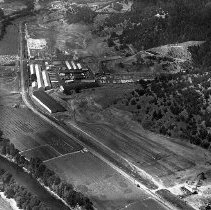 Roseburg Lumber Dillard aerial view