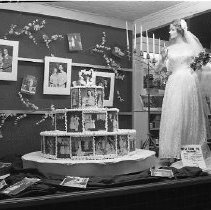 Photography studio window display