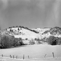 Snow scene near Roseburg, 1962