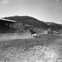 Bulldogging, Umpqua Valley Roundup