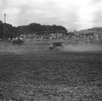 Bulldogging, Umpqua VAlley Roundup
