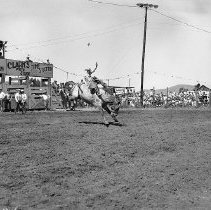 Bareback bronc riding, Umpqua Valley Roundup