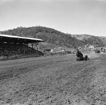 Steer roping, Umpqua Valley Roundup