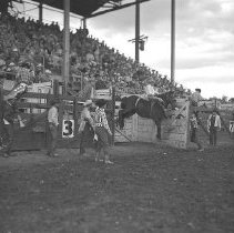 Bareback bronc riding, Umpqua Valley Roundup