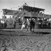 Saddle bronc riding, Umpqua Valley Roundup