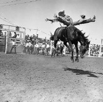 Man riding bucking bronc.