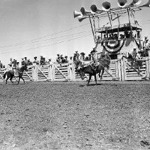Saddle bronc riding, Umpqua Valley Roundup