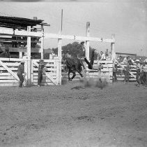Bareback bronc riding, Umpqua Valley Roundup