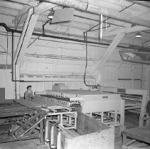Plywood press, Roseburg Lumber ca 1950