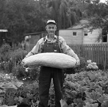 Unidentified farmer holding very large squash
