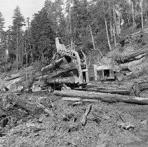 Logs being loaded onto truck