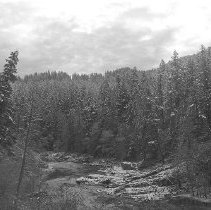 N. Umpqua River snow scene