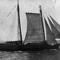 Schooner LILY