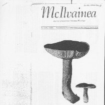 Belowground Fungi : Hidden but not Forgotten /, McIlvainea