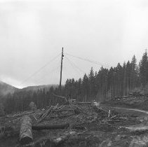 Logging in Douglas County, OR