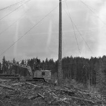 Logging in Douglas County, OR