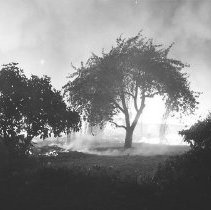 Roseburg Blast Fire, Roseburg, OR; Roseburg Blast, Roseburg, OR