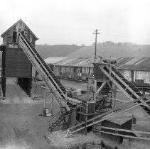 Chip dump at Douglas County mill