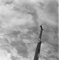 Man working on spar pole
