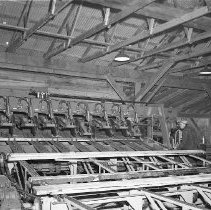 Circular saws in sawmill