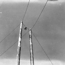 Logger on wire between spar poles