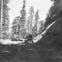 Trucks on logging road