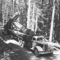 Crane loading logs onto truck