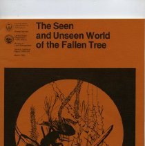 The Seen and Unseen World of the Fallen Tree