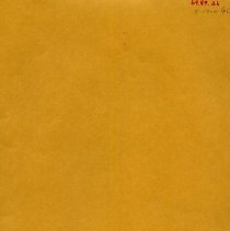 Newspaper clippings from Mathew Adams collection