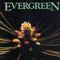 Oregon Forest Factbook and other Publications