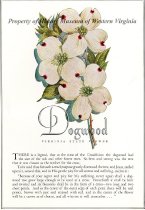 Souvenir program and menu