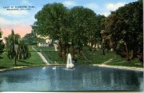 Lake in Elmwood Pard