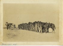 Camp Lee - Dismounted