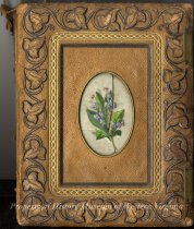 Brown Album With Leaf Cover