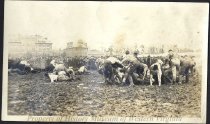 Young men wrestling in mud
